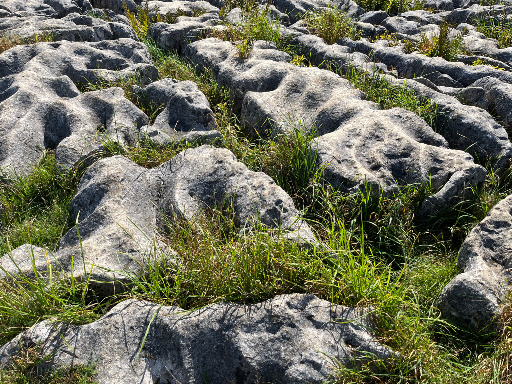 Limestone Pavement on Top of Malham Cove